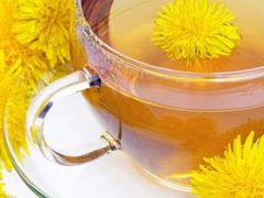 Health Benefits of Dandelion Tea
