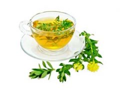 Rhodiola Rosea Tea Benefits