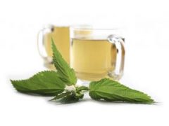 Stinging Nettle Tea Benefits