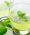 Best Tea for Acid Reflux - 7 Soothing Herbal Recipes!