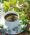 Herbal Tea for Gastritis - 5 Best Healing Recipes!